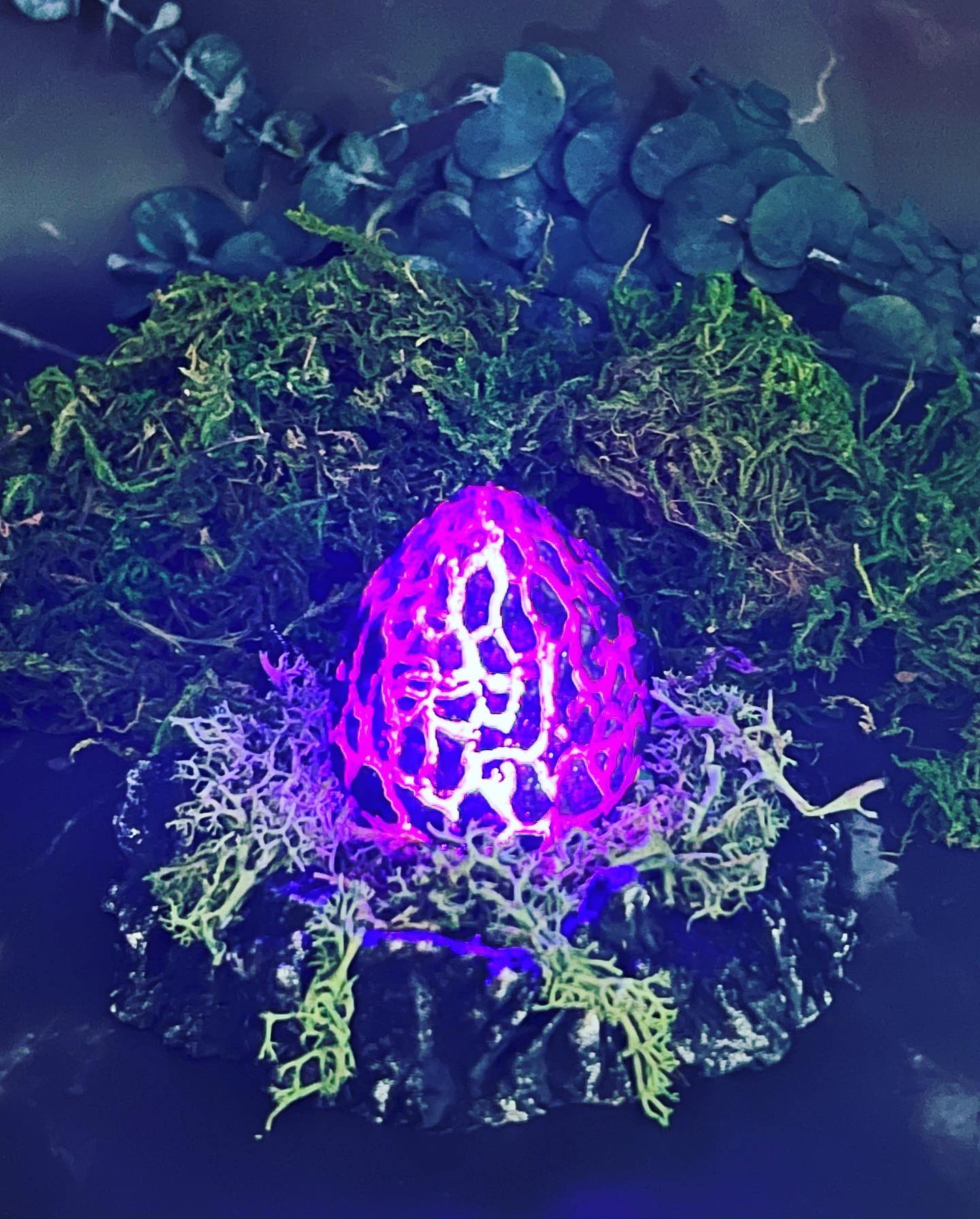 Drake Egg with Nest (Illuminates!)