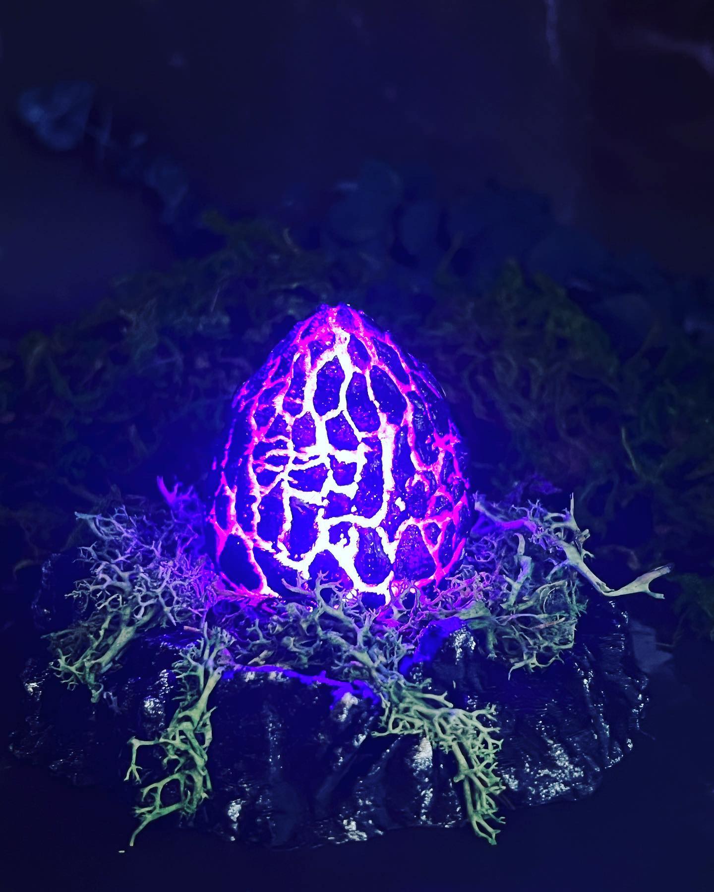 Drake Egg with Nest (Illuminates!)