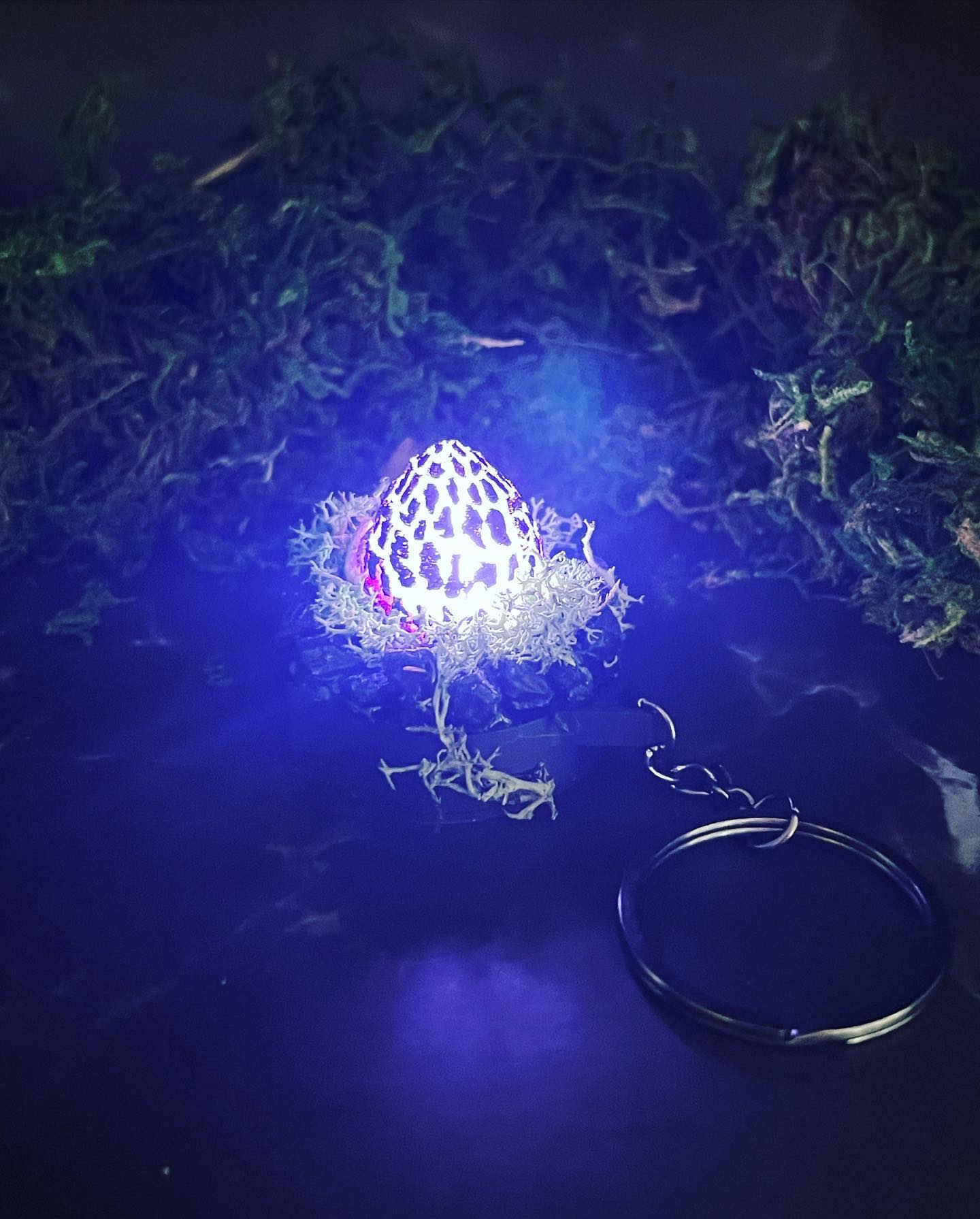 Rock Drake Egg Nest Keychain