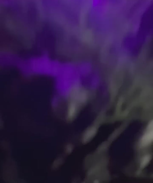 Drake Egg with Nest (Illuminates!)