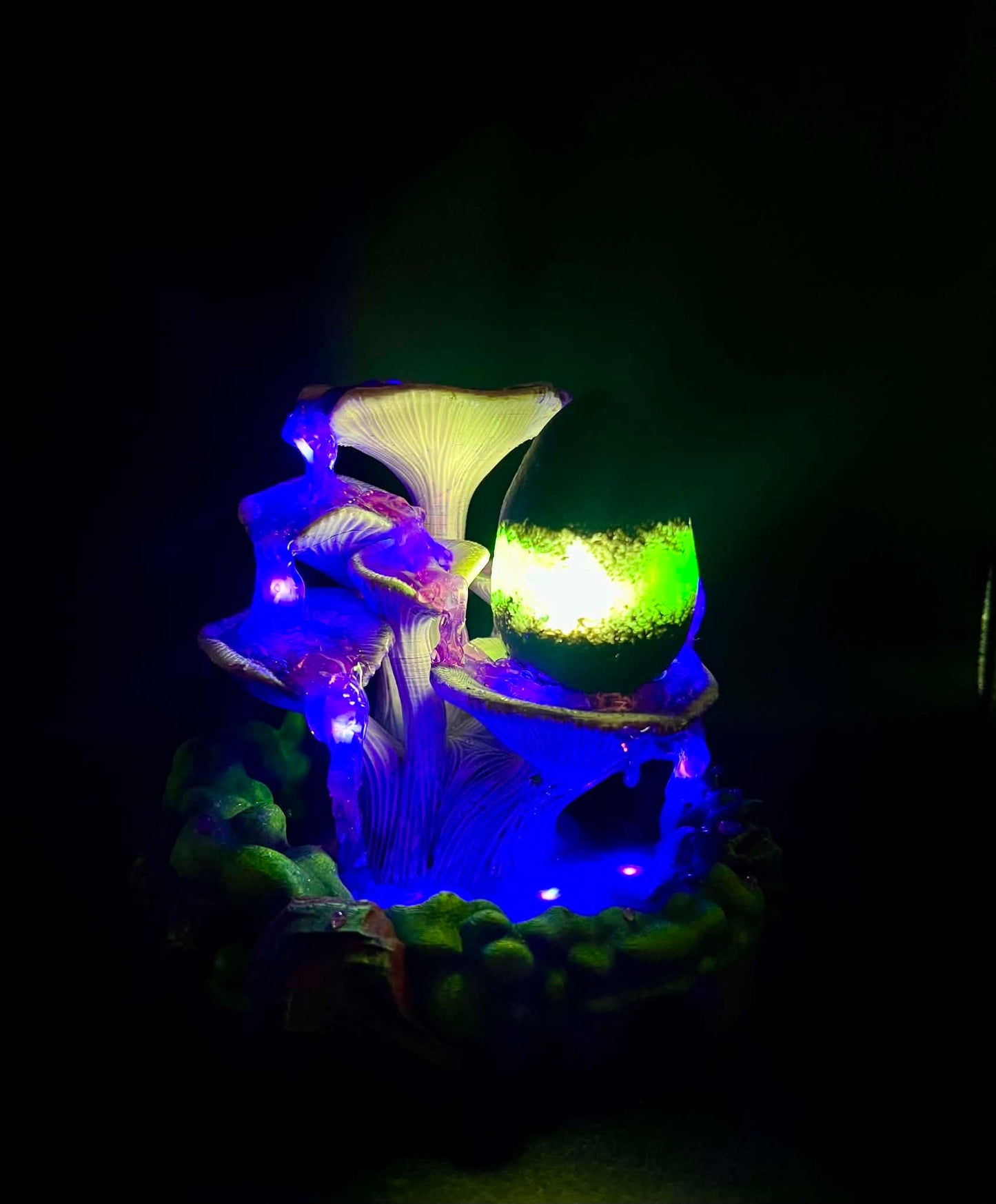 Poison Wyvern Egg Nest Biome (Illuminates)!