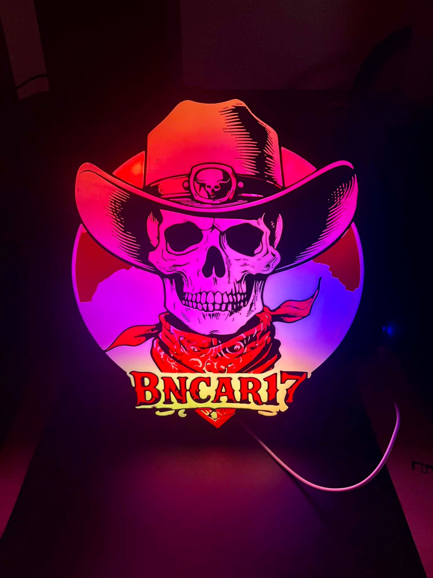 Custom RGB Logo Light Box – Skull Cowboy Design