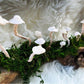 Mushroom Log Custom Commission