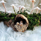 Mushroom Log Custom Commission