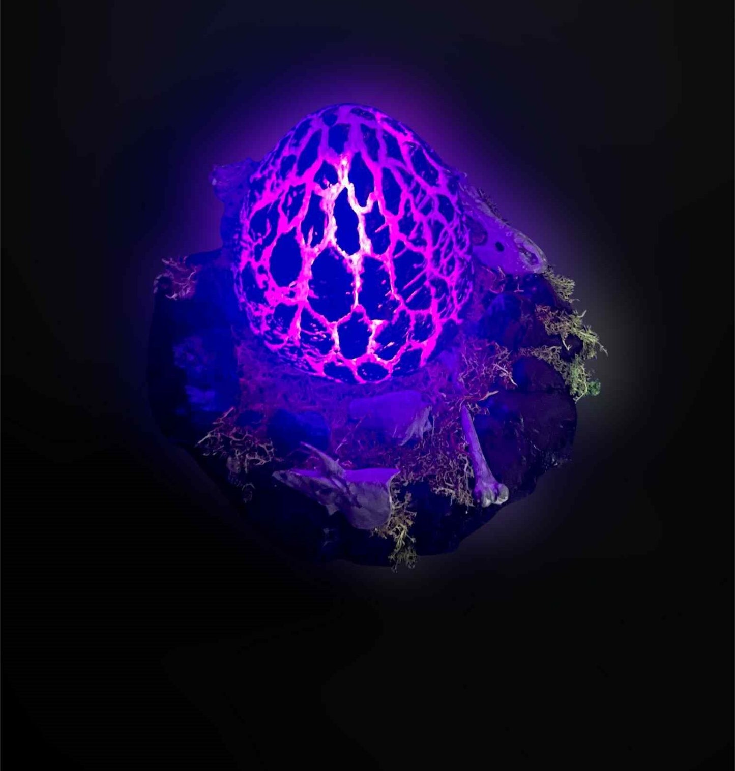Ark Survival Inspired GIANT Rock Drake Egg Nest - Illuminates!