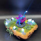 Biome Taxidermy Base - Bulbdog