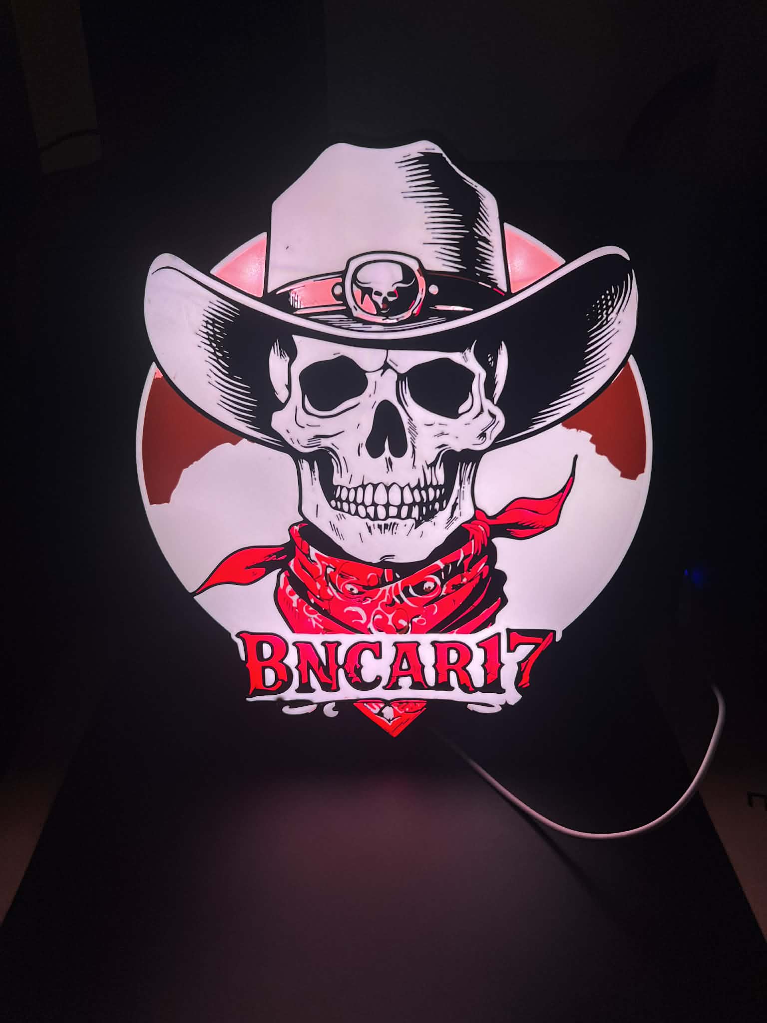 Custom RGB Logo Light Box – Skull Cowboy Design – spicydodo