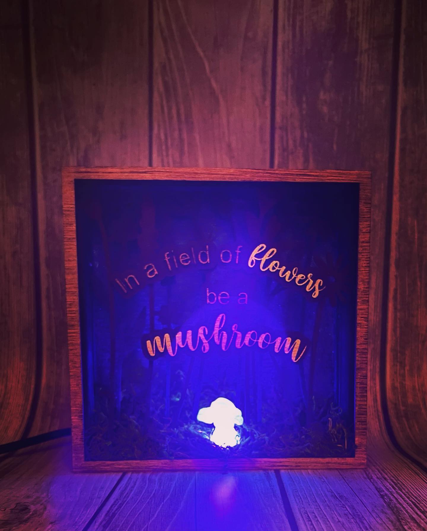 Be a Mushroom Shadowbox